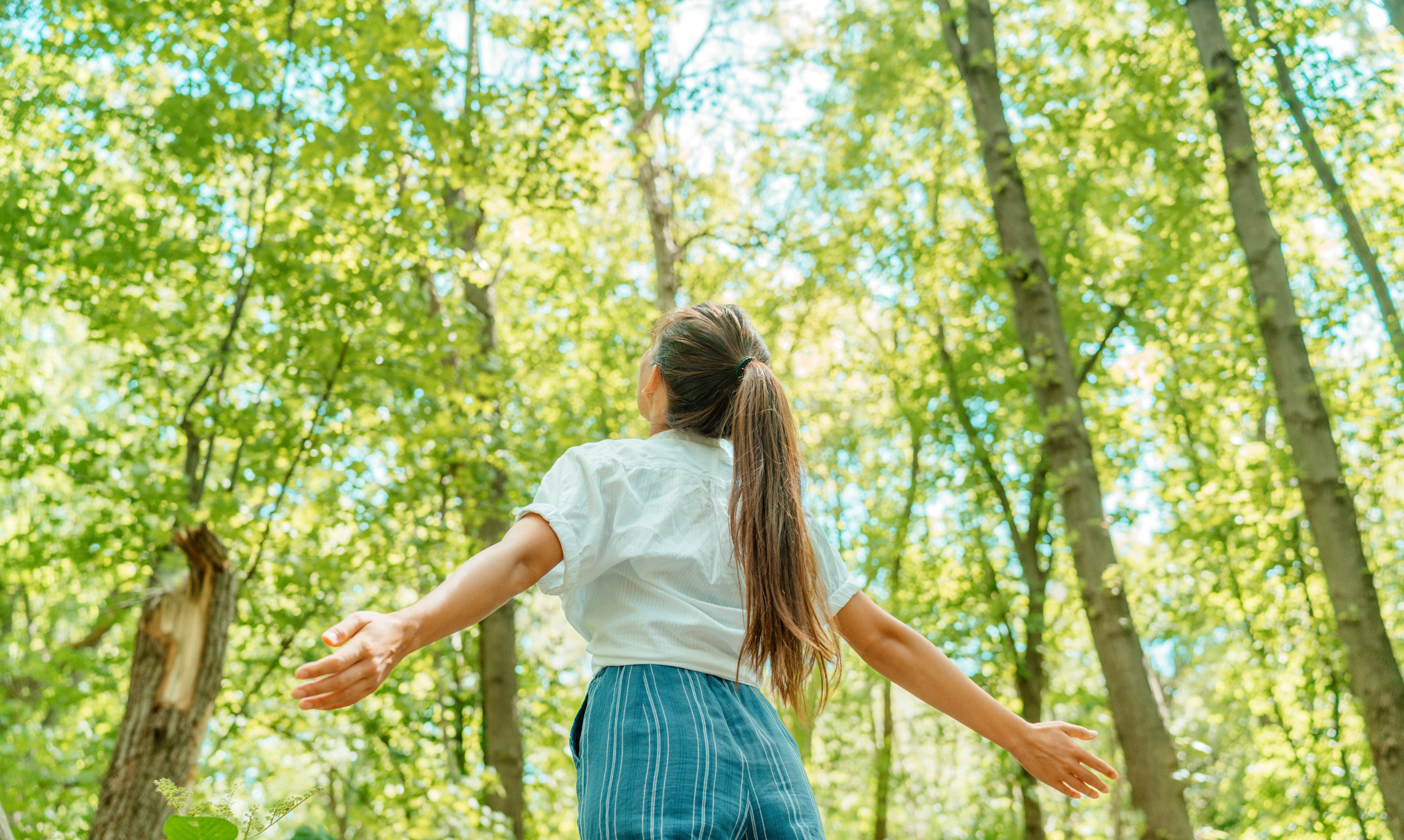 Mujer libre respirando aire limpio en el bosque de la naturaleza. Niña feliz desde atrás con los brazos abiertos en felicidad. Maderas frescas al aire libre, concepto de estilo de vida saludable de bienestar.