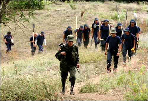 Los menores de edad están siendo las principales víctimas de los guerrilleros.