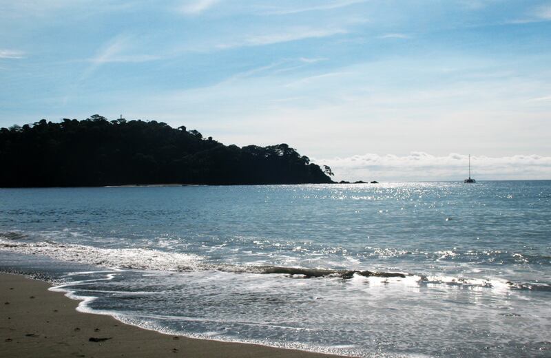 El Parque Natural Isla Gorgona es administrado por Aviatur, en cualquiera de cuyas oficinas se pueden hacer las reservaciones del Nemo. Ellos coordinan el arribo a la población caucana de Guapi y desde allí se embarca en lancha rápida hasta la bocana, en donde el Nemo espera a los turistas para llevarlos a la aventura en medio de la naturaleza.
