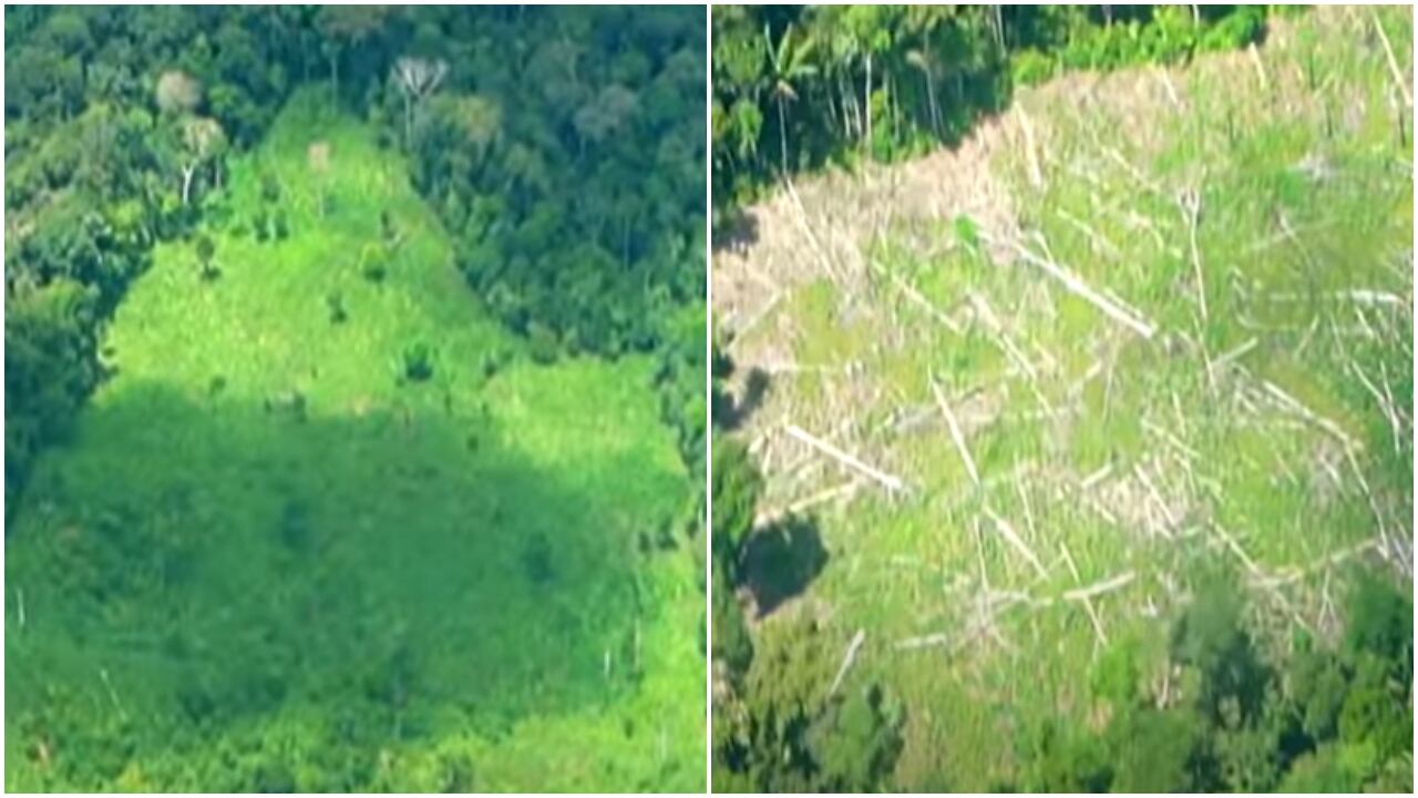 Cotuhé: la frontera olvidada entre Colombia y Perú, donde disidencias de las Farc destruyen el Amazonas para extraer oro y coca