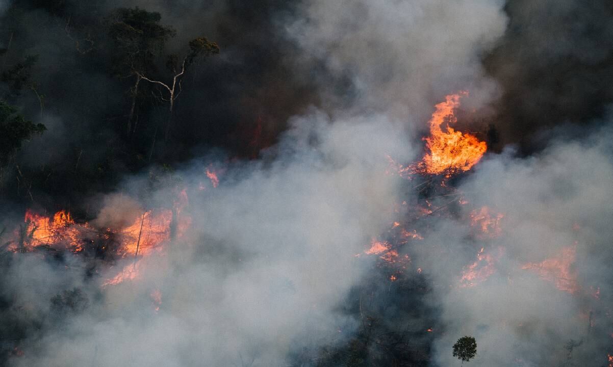 Alarmante cifra de incendios forestales en la primera parte de 2022 en salva amazónica de Brasil
