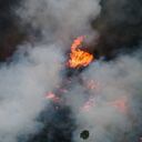 Alarmante cifra de incendios forestales en la primera parte de 2022 en salva amazónica de Brasil