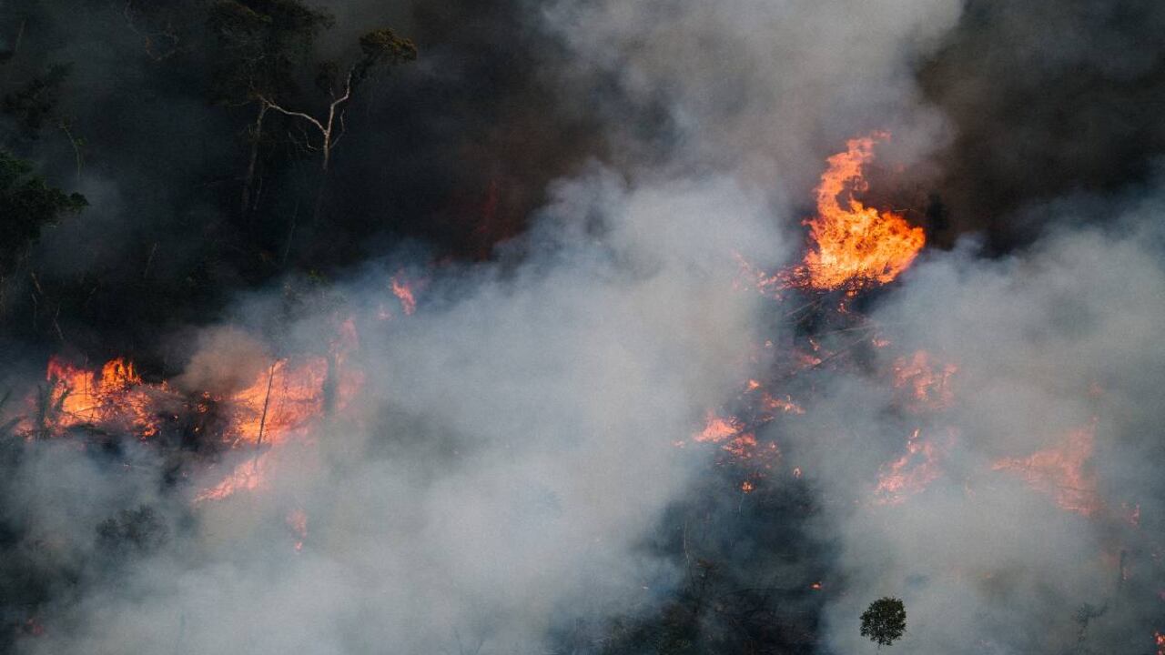 Alarmante cifra de incendios forestales en la primera parte de 2022 en salva amazónica de Brasil