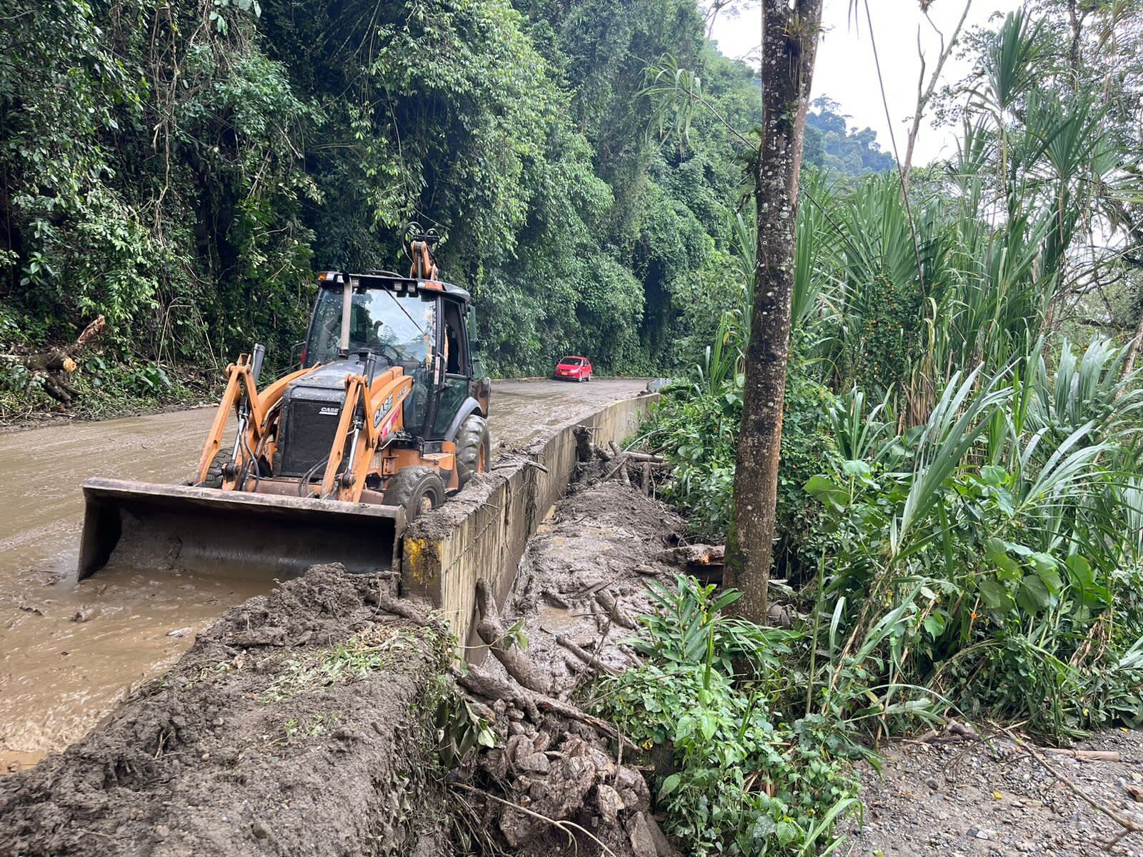 Situación crítica en El Cañón del Combeima: Lluvias torrenciales desatan desbordamientos y derrumbes masivos.