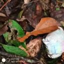 Sigue la búsqueda de los niños desaparecidos de la avioneta