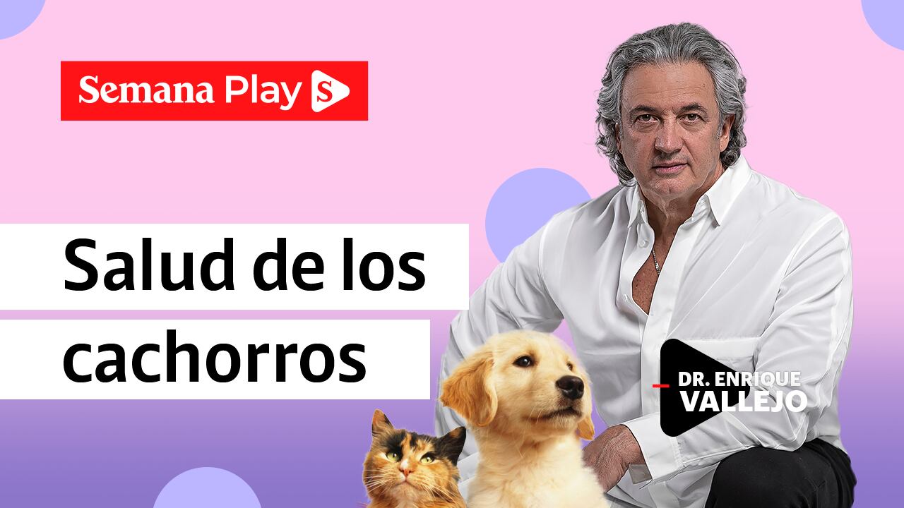 Salud de los cachorros | Enrique Vallejo en Salud Animal