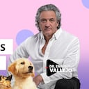 Salud de los cachorros | Enrique Vallejo en Salud Animal