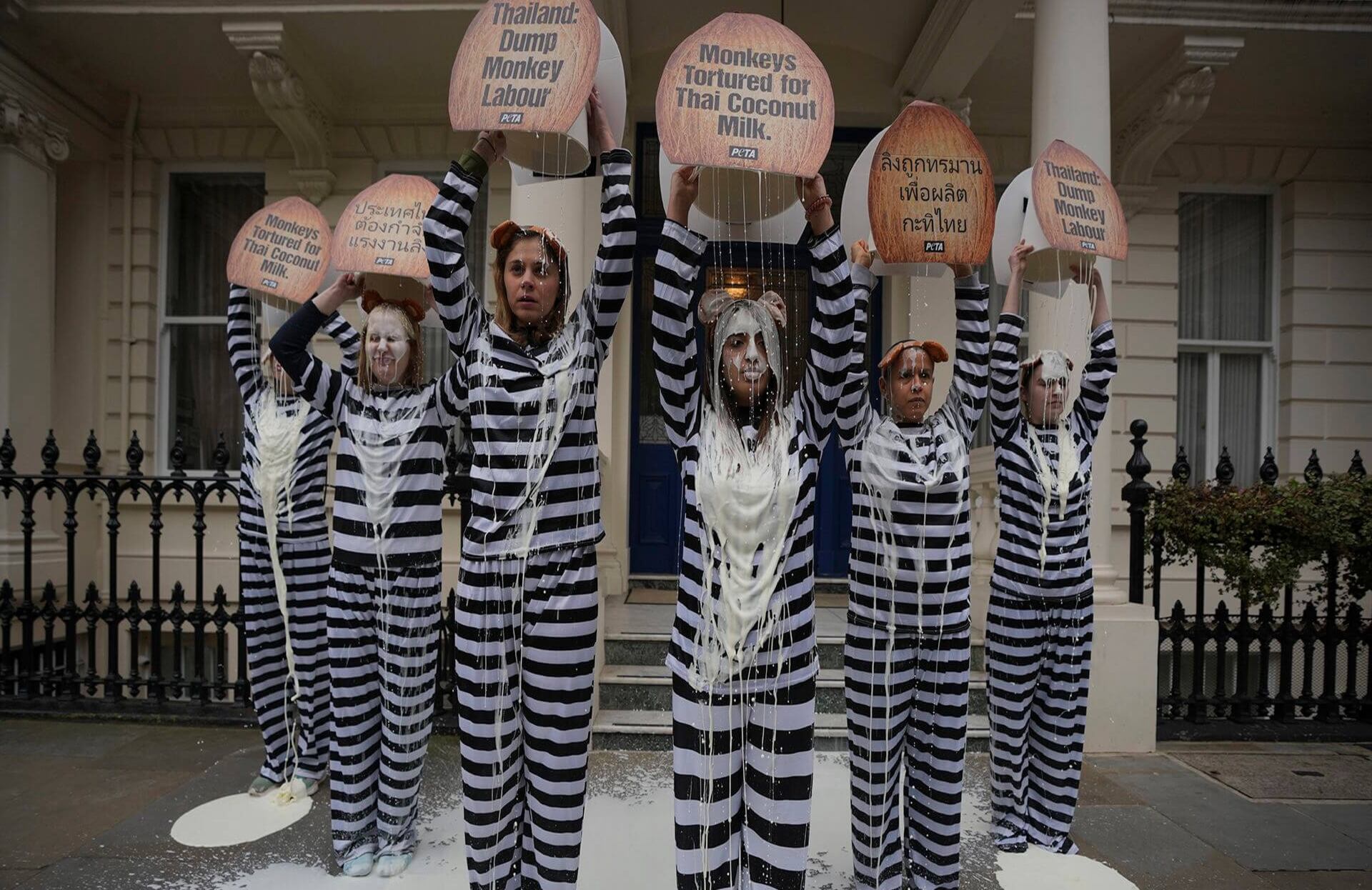 Una tropa de 'monos' del grupo de Personas por el Trato Ético de los Animales (PETA), vestidos de prisioneros, arrojan baldes llenos de "leche de coco" sobre sí mismos afuera de la Embajada Real de Tailandia, en Londres