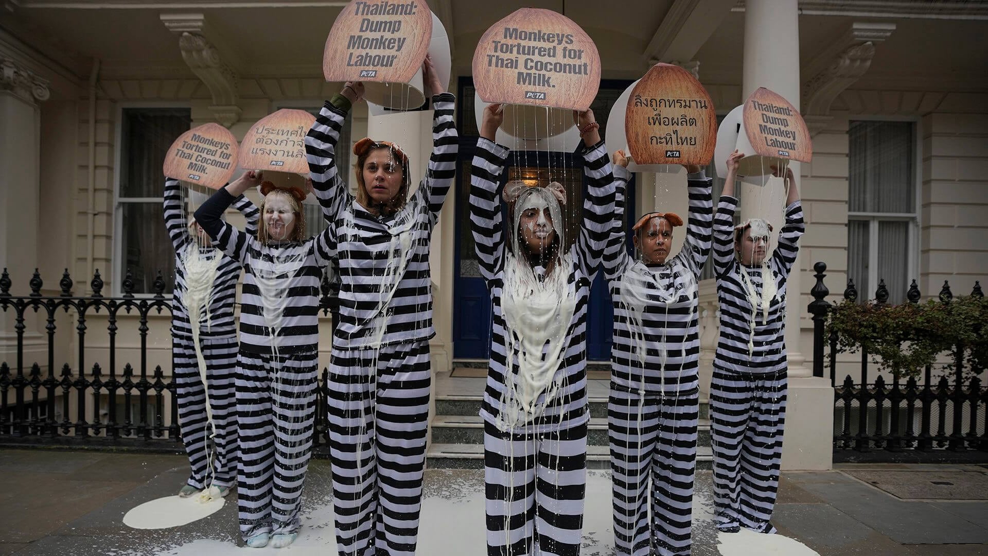 Una tropa de 'monos' del grupo de Personas por el Trato Ético de los Animales (PETA), vestidos de prisioneros, arrojan baldes llenos de "leche de coco" sobre sí mismos afuera de la Embajada Real de Tailandia, en Londres
