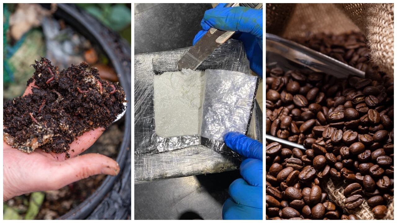 Entre abono y café, red narcotraficante camuflaba cocaína para sacarla del país hacia Europa; así fue quedó al descubierto su operación