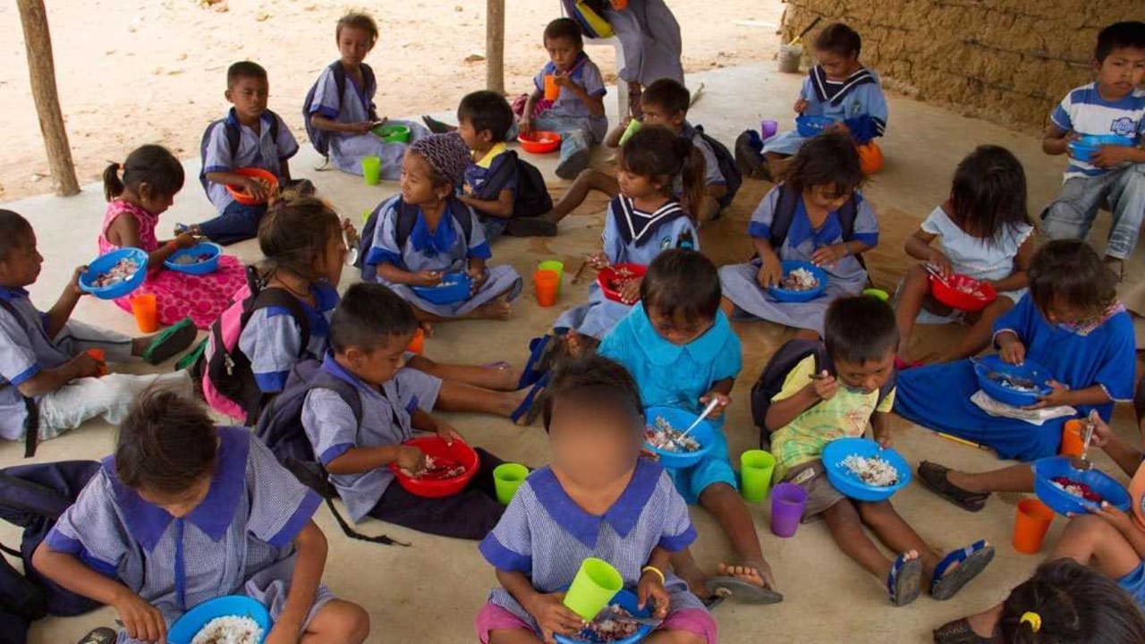 Lupa a la alimentación escolar.