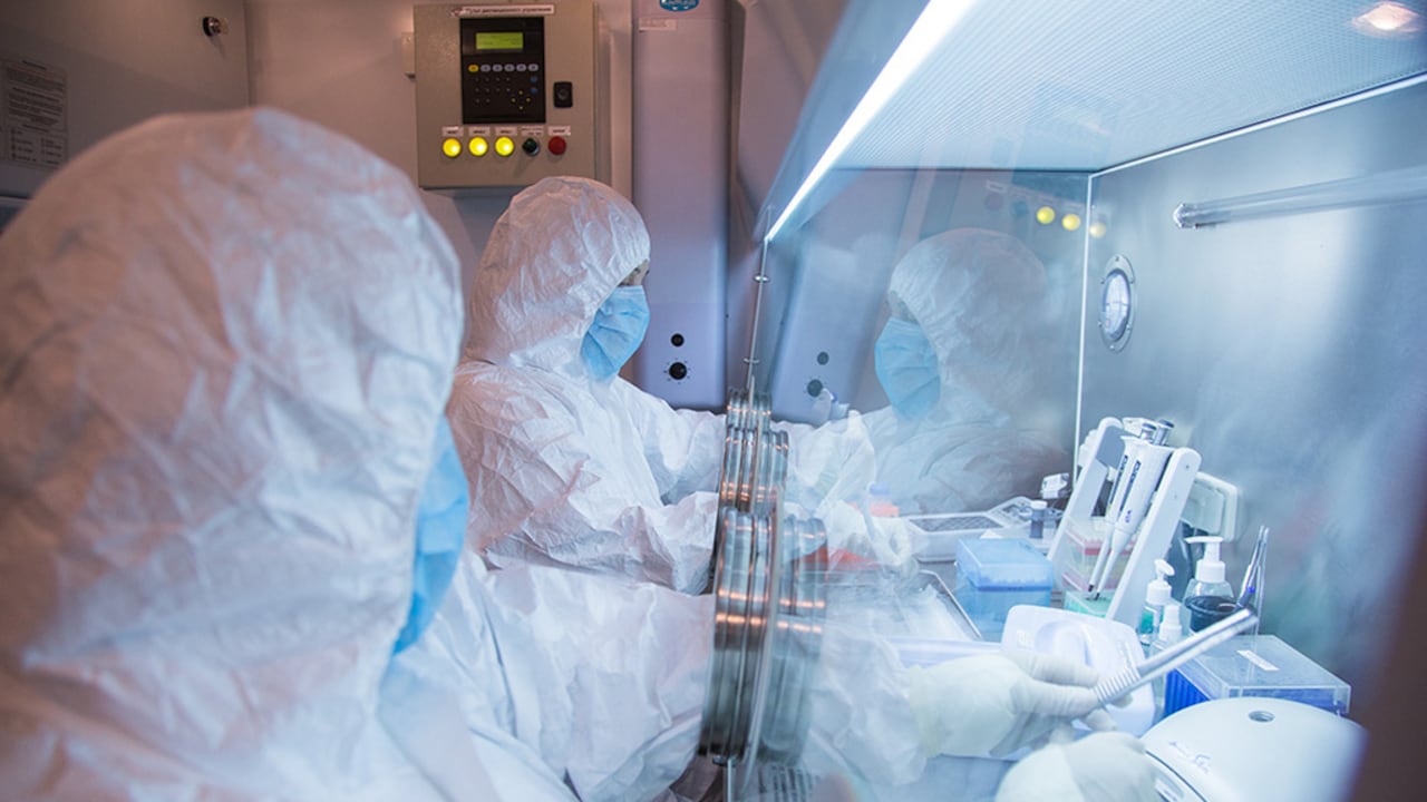 Esta foto sin fecha publicada por el Instituto de Investigación Antipeste de Irkutsk de Siberia y Lejano Oriente, muestra a los trabajadores del instituto en un laboratorio. (Foto, Instituto de Investigación Anti-Peste de Irkutsk de Siberia y Lejano Oriente vía AP)