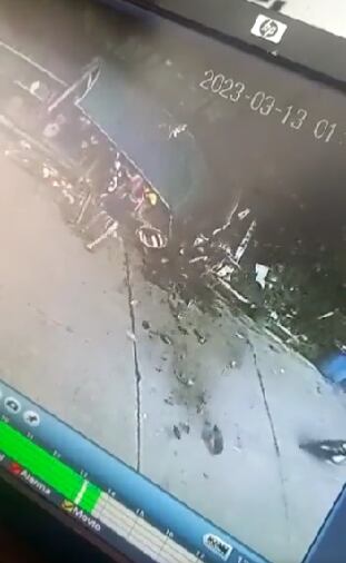 Caída de árbol en Bucaramanga.