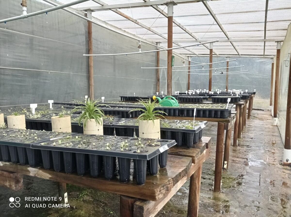 Vivero en el Parque Chingaza