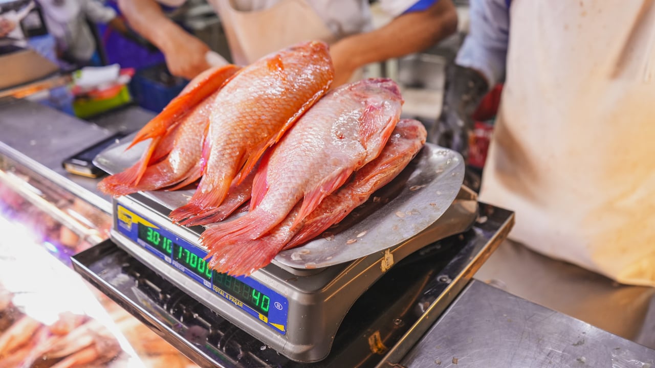 Comercialización de pescado en Bogotá de cara a la Semana Santa 2025