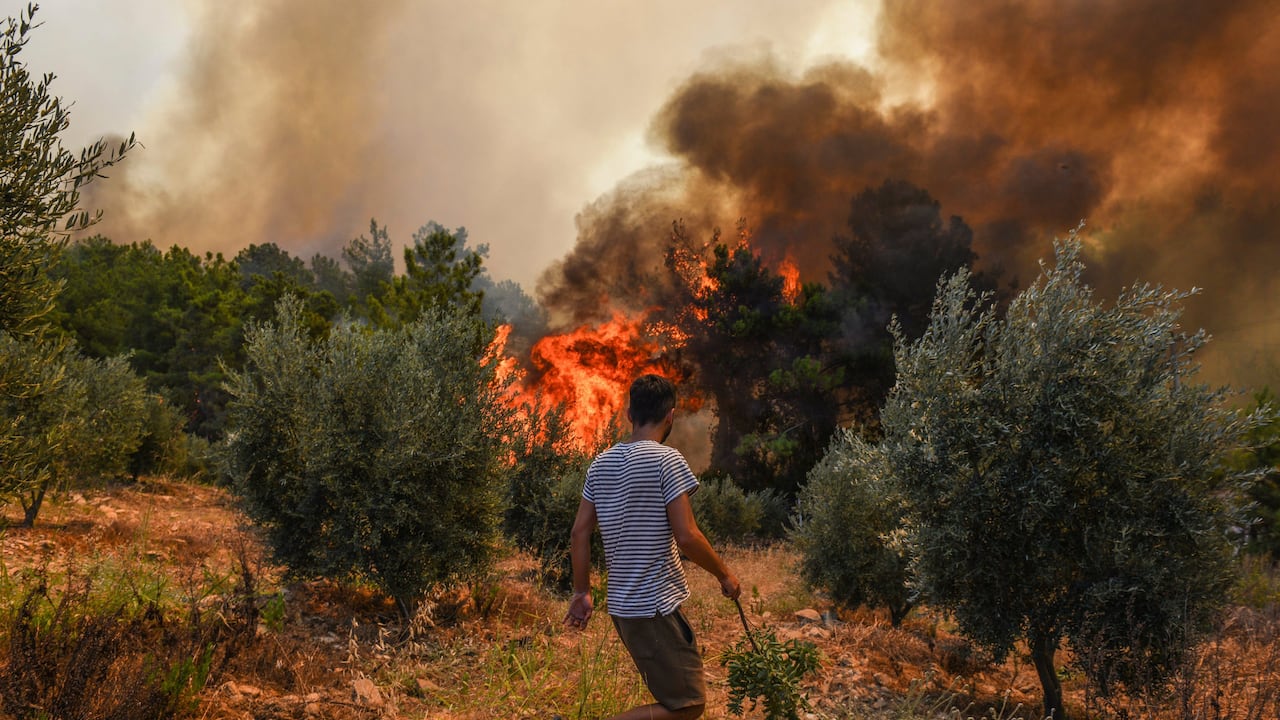 Turquía ha sido uno de los países azotado por los incendios. (AP Foto)