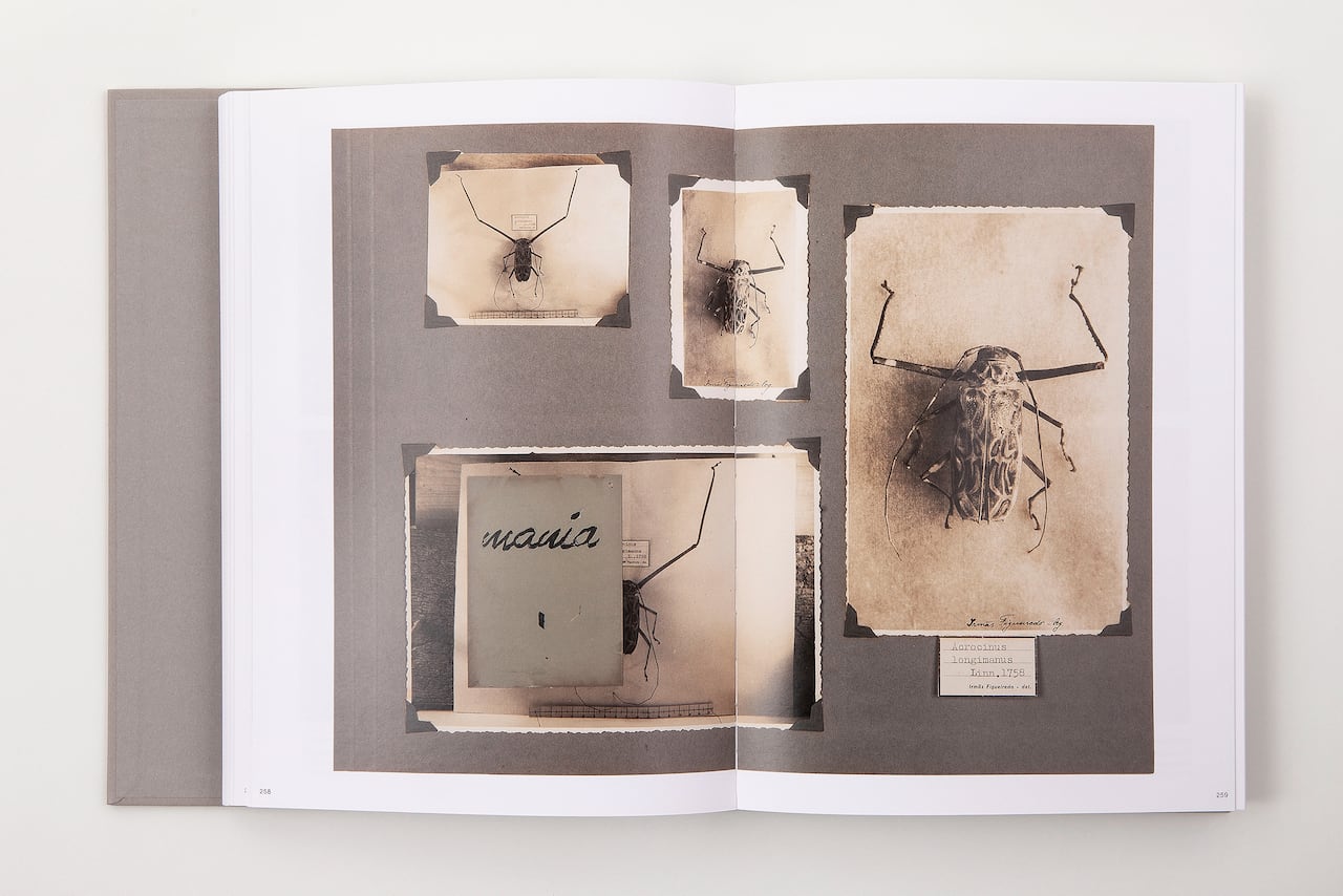 Johanna Calle Photo Graphias