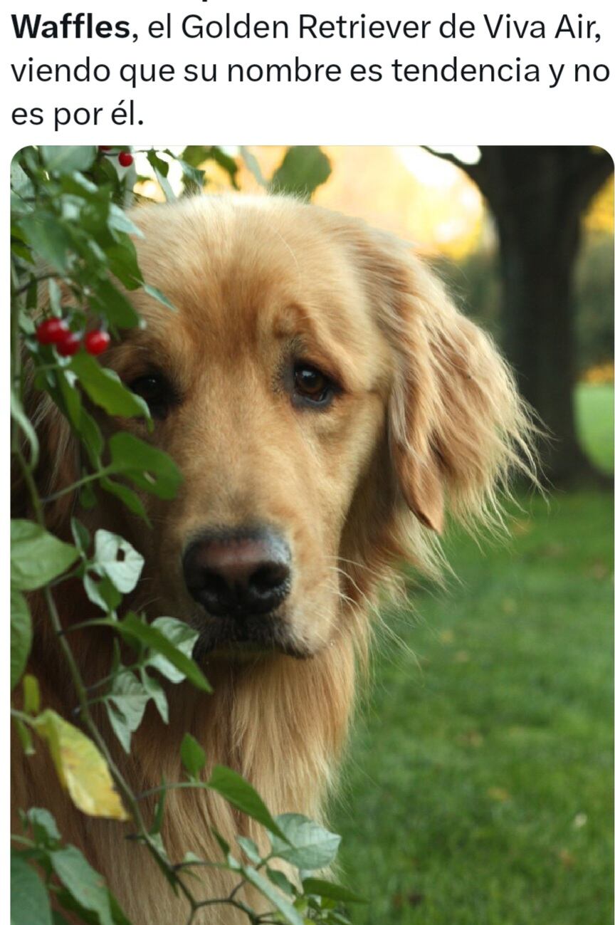 Autoridades de Cali le ponen la lupa a polémico negocio de Severo Sinvergüenza: “Esos videos son bochornosos”.