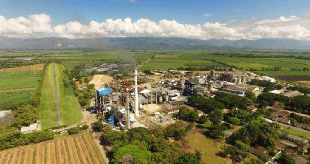 En el mercado nacional se manejan diferentes referencias como es la panela cuadrada, la partida, redonda, en pastilla y en polvo,