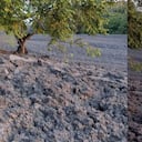 Cubierta de lodo en el municipio de Turbo, Antioquia, después de la erupción del volcán Los Aburridos.
