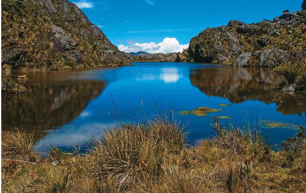 Una de las razones que hace vulnerable el Páramo de Santurbán es que no está delimitado.  Foto: Archivo Semana 