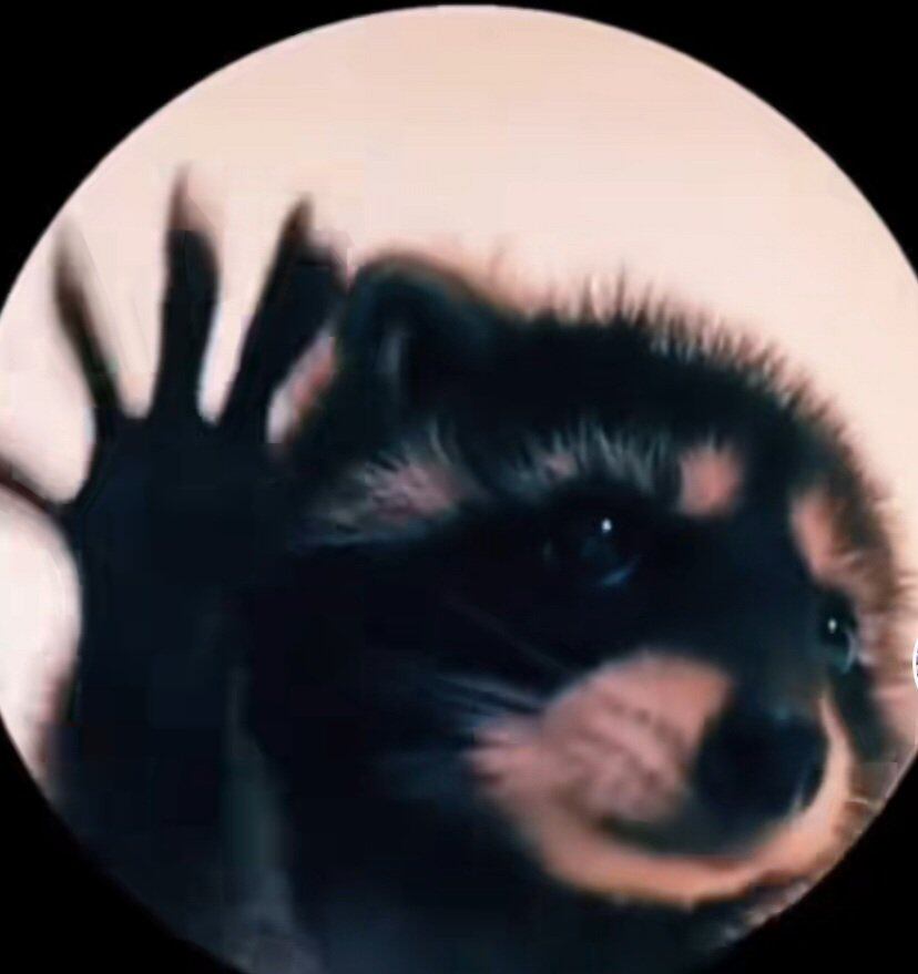 Un mapache y la canción "Pedro" de Raffaella Carrà lideran el ranking de memes según la IA.