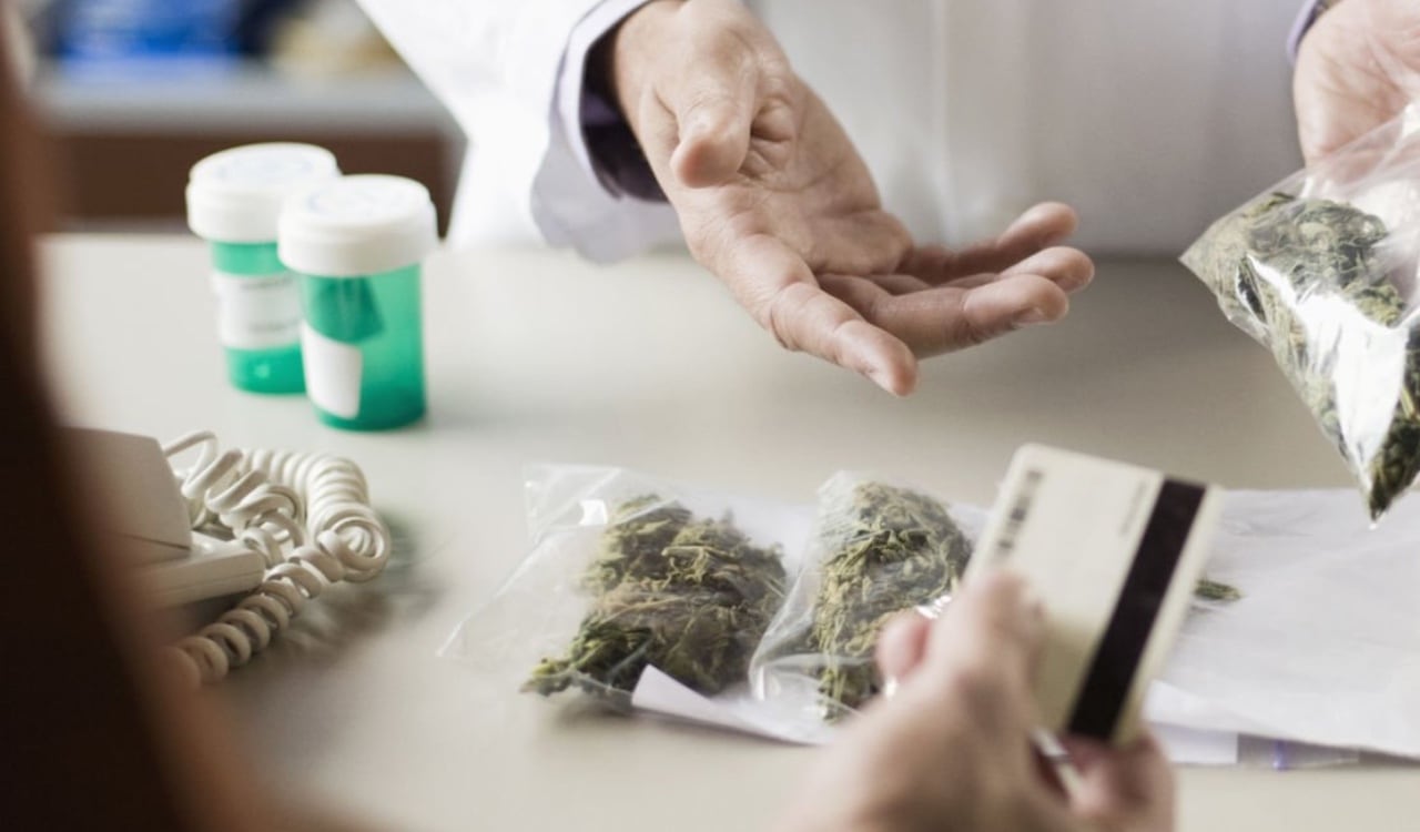 El país podría recibir hasta 500 millones de dólares con la industria de la marihuana.