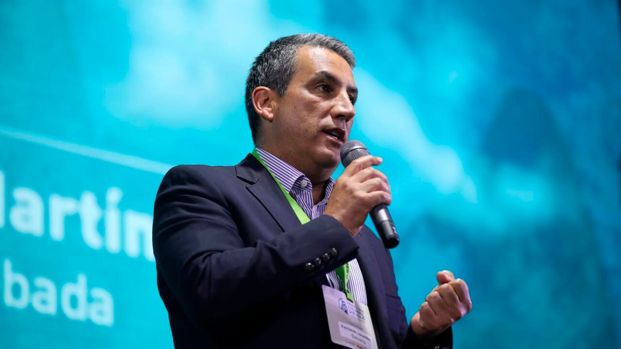 Fernando Jaramillo, presidente de la Dimayor.