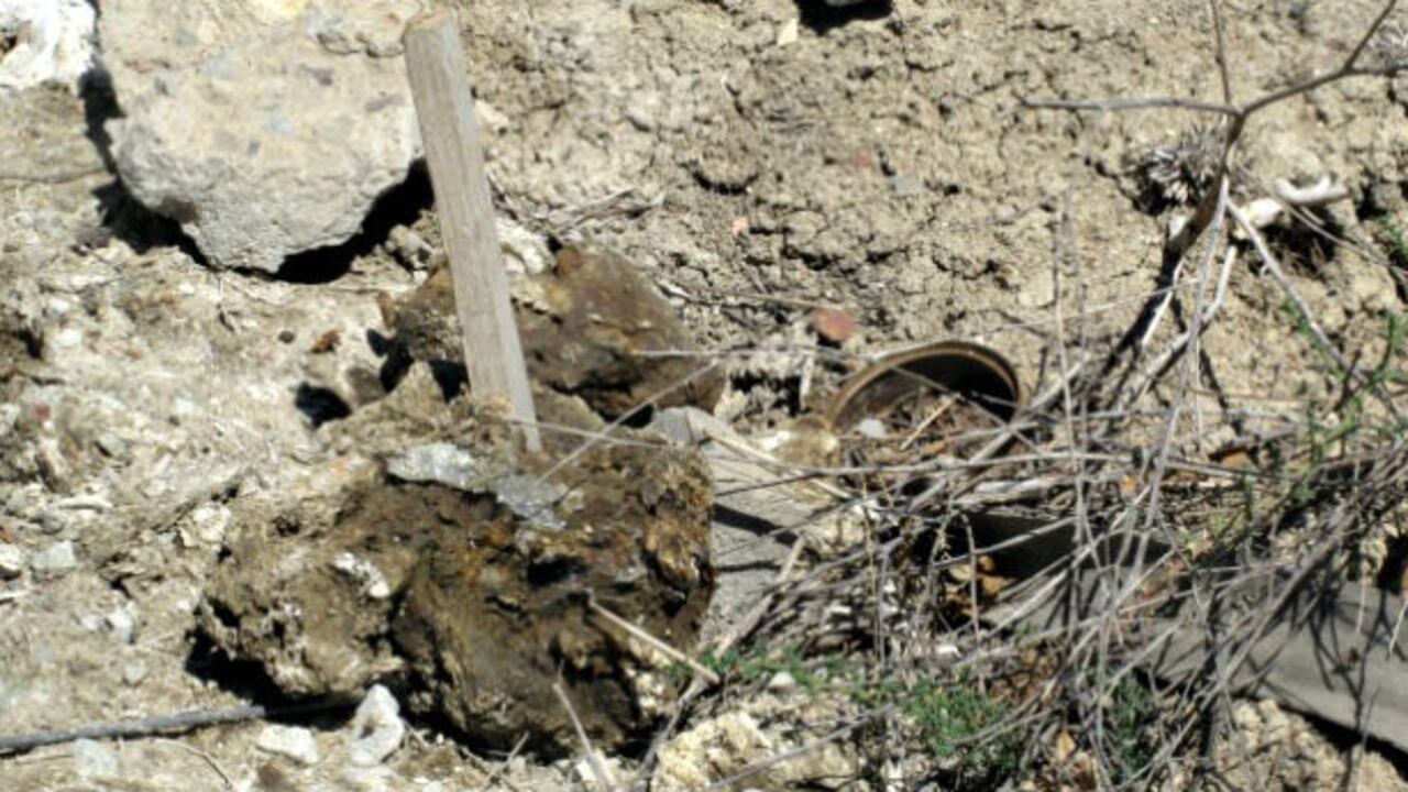Restos humanos abandonados en una finca de 'El Pozolero'.