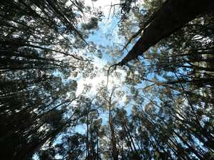 Esta zona hídrica natural de los Cerros Orientales, está ubicada en la localidad de Chapinero de Bogotá, en la avenida circunvalar con calle 71.