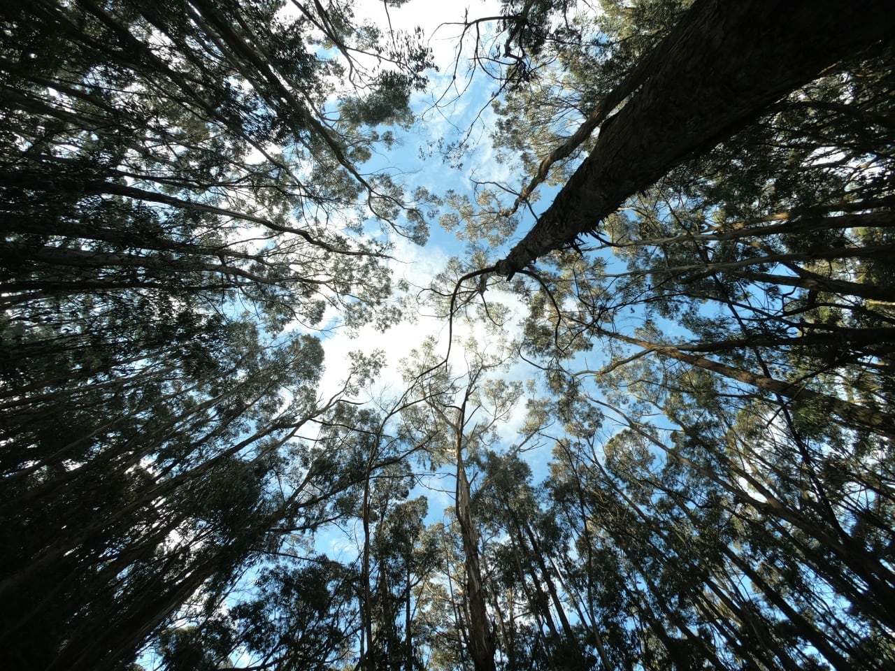 Esta zona hídrica natural de los Cerros Orientales, está ubicada en la localidad de Chapinero de Bogotá, en la avenida circunvalar con calle 71.