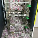 rata se comió dinero en cajero