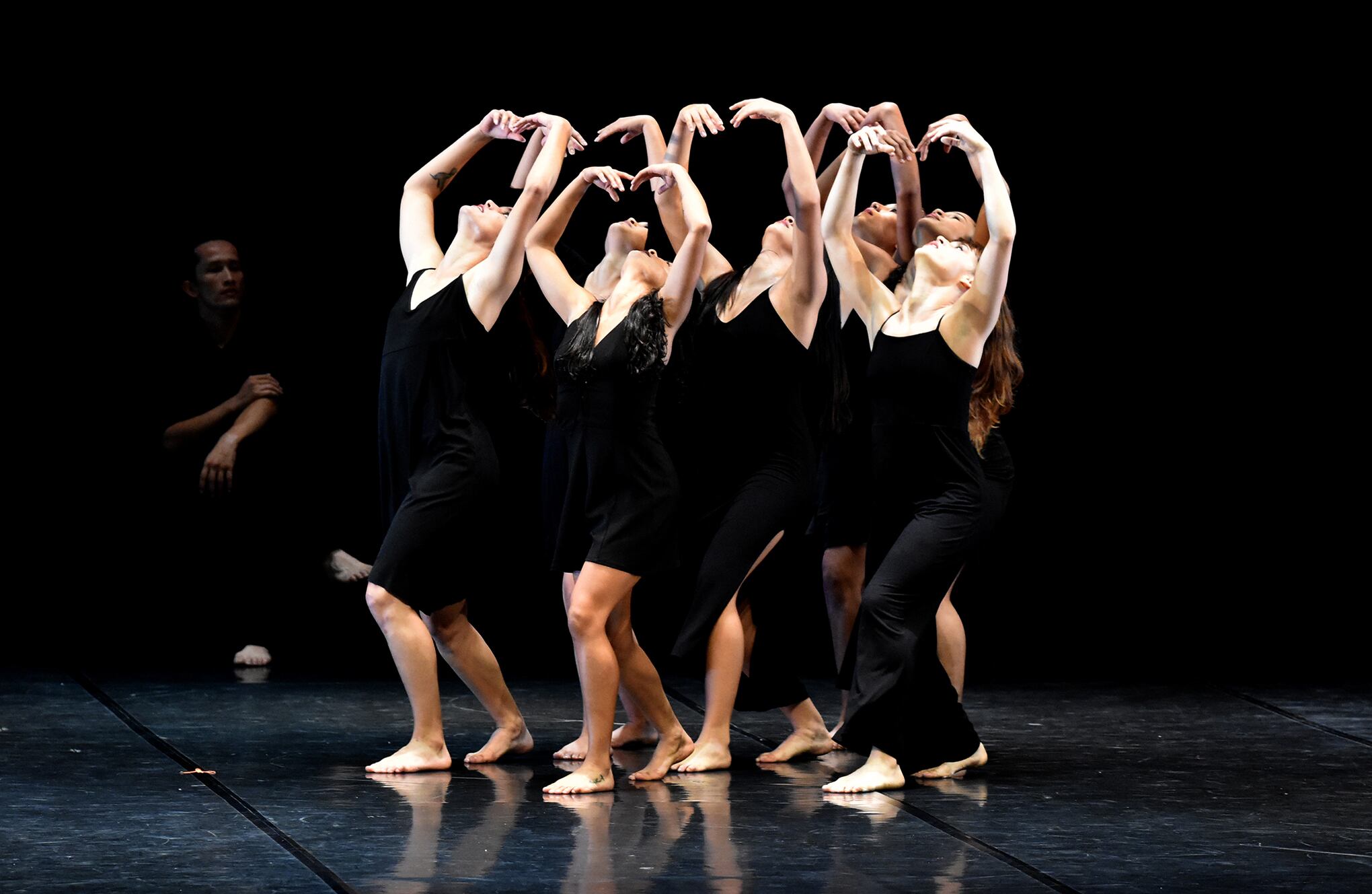 Galeria bienal de danza internacional