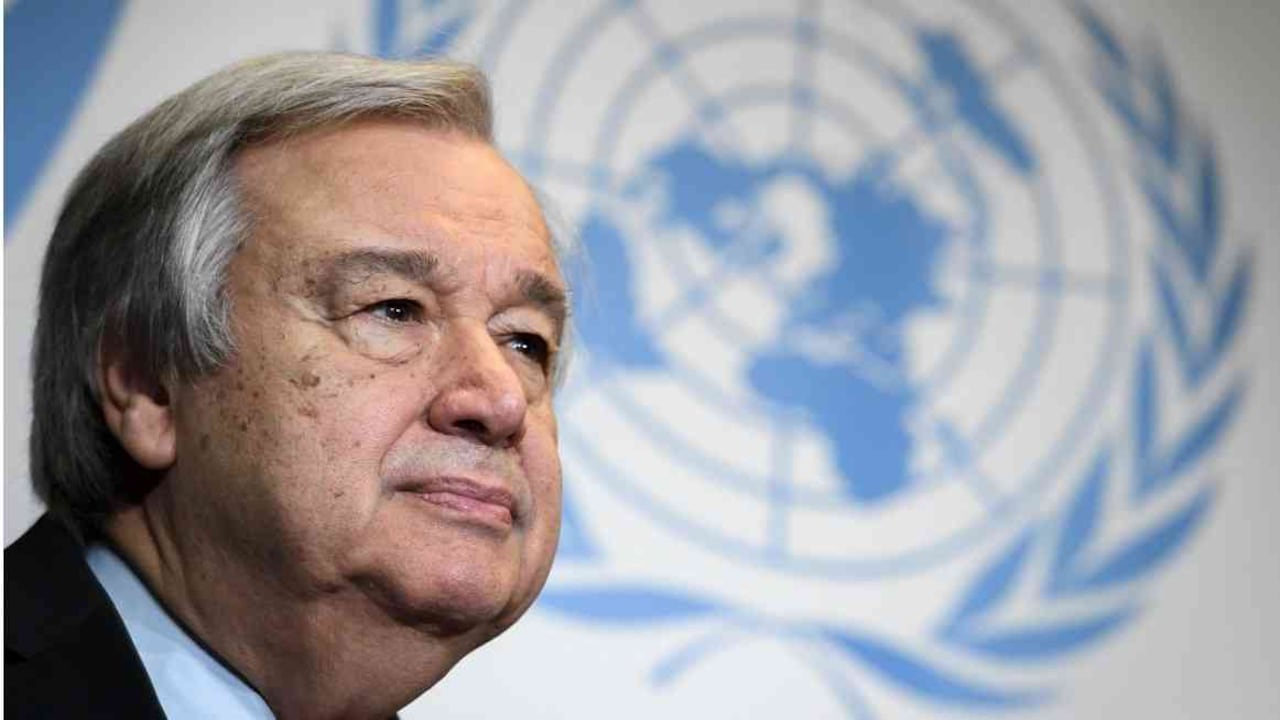El secretario general de la ONU, Antonio Guterres, dijo que no se puede permitir más daño a una gran fuente de oxígeno. Foto: AFP