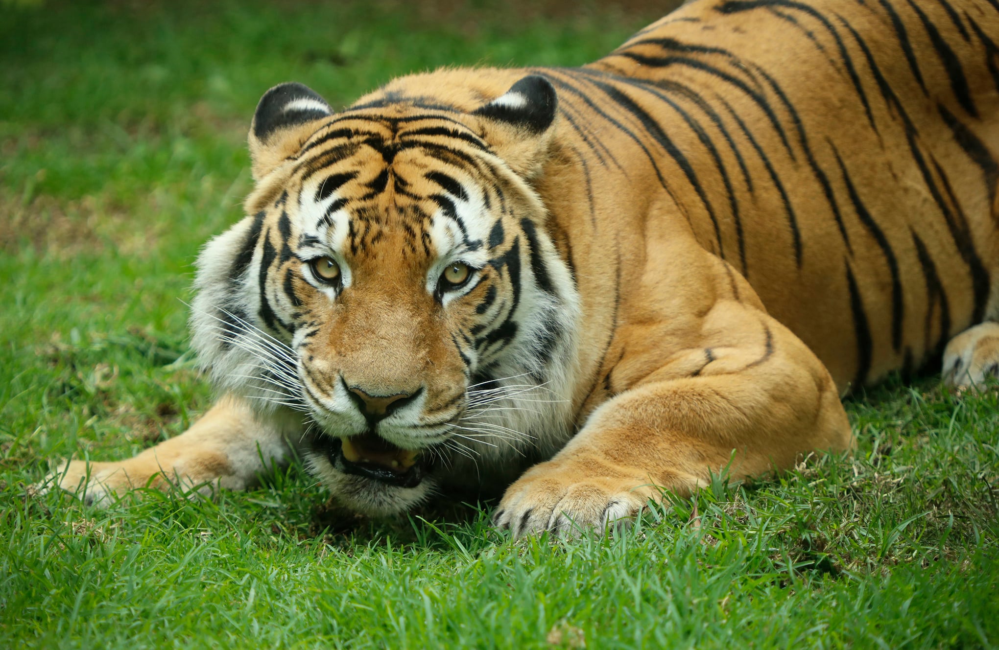 Bioparque Wakata / parque Jaime Duque