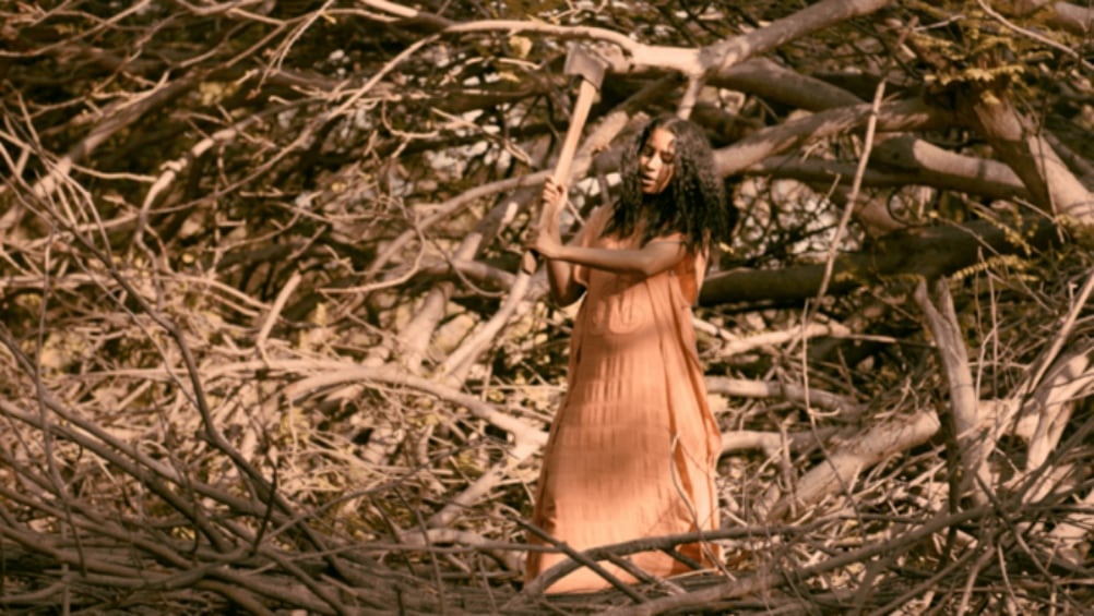 La frontera - FICCALI 2020