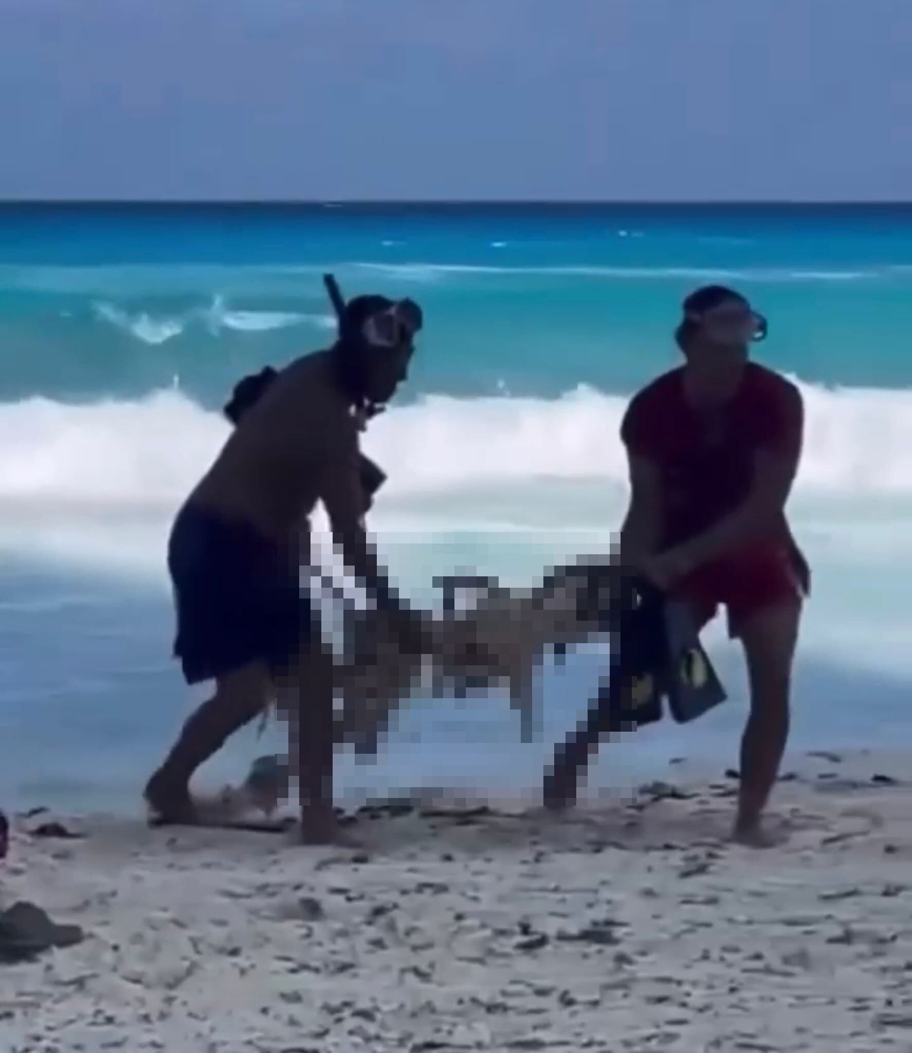 Los restos fueron hallados por turistas