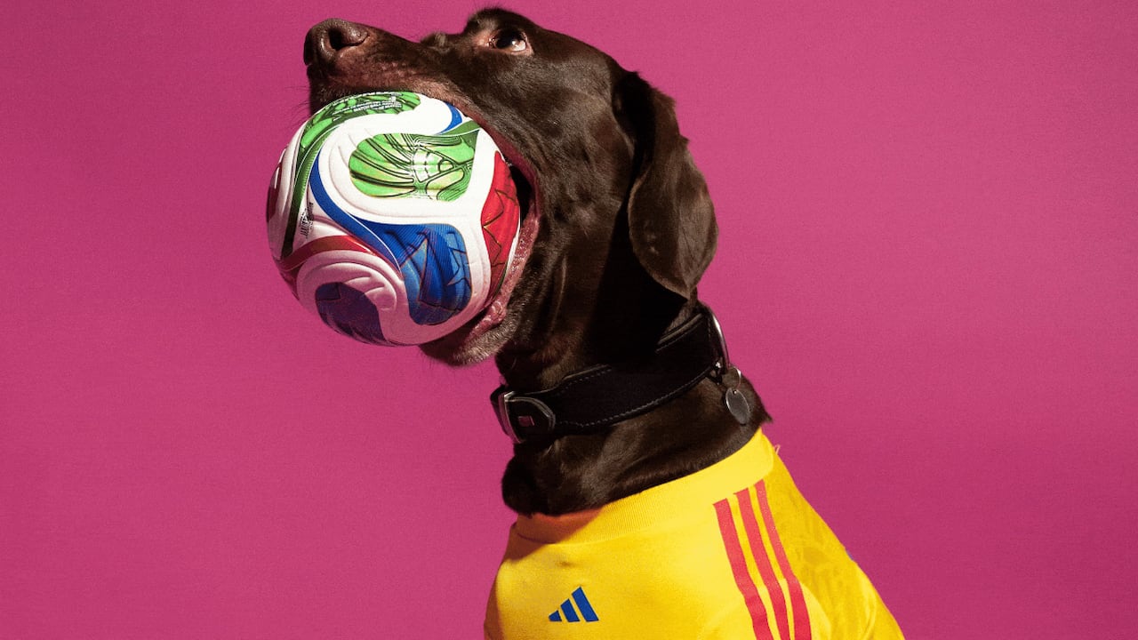 Adidas dio a conocer la oferta de camisetas del Mundial 2026 para las mascotas.