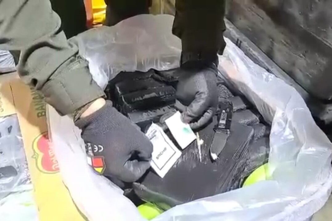 Incautación de cocaína