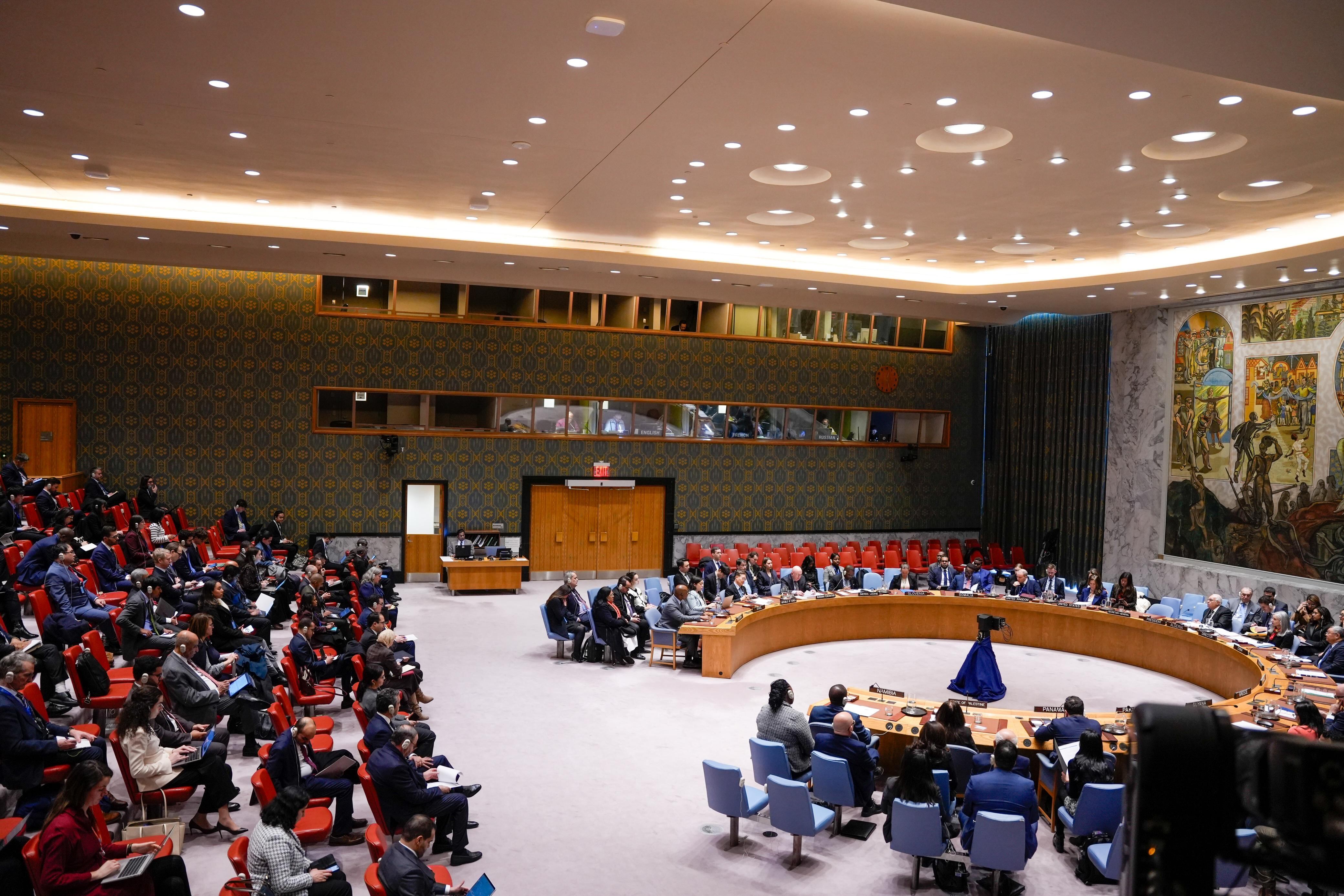 Consejo de Seguridad de la ONU.