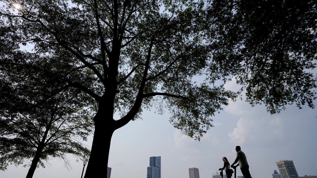 Precio de la vivienda en EE. UU. (AP Photo/Julio Cortez)