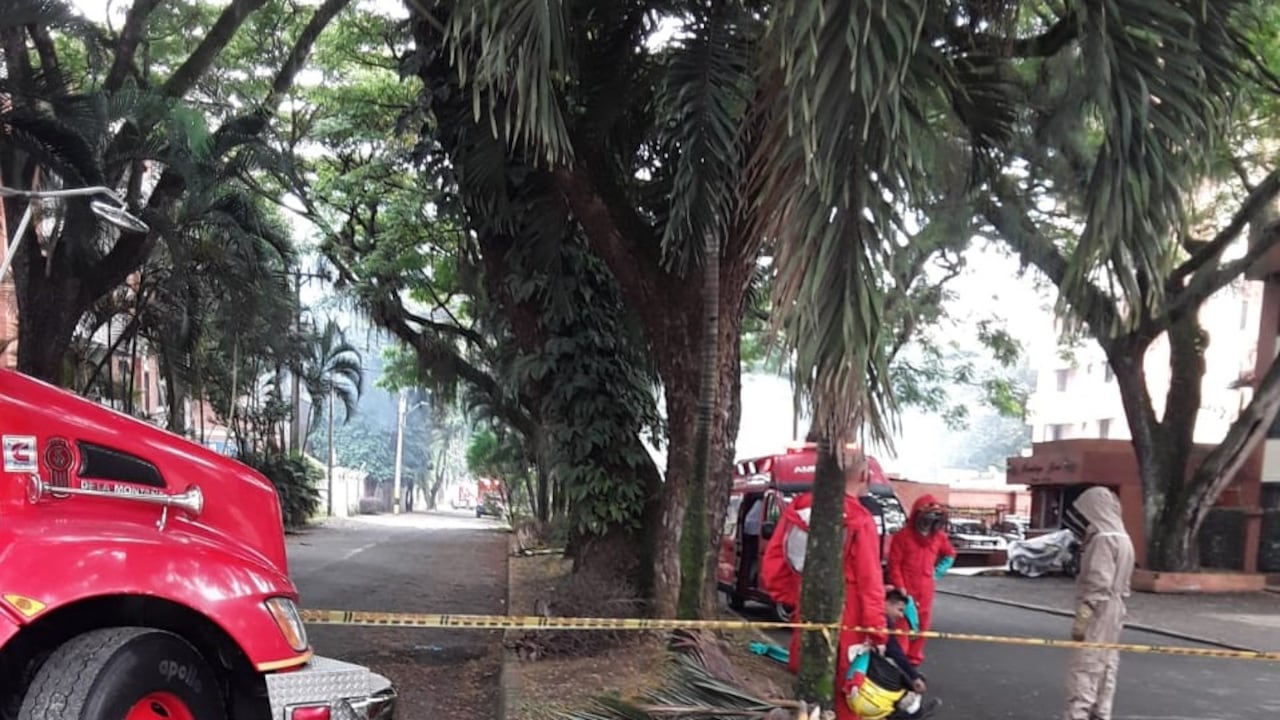 El hecho se registró en el barrio Quintas de Don Simón, ubicado al sur de la ciudad.