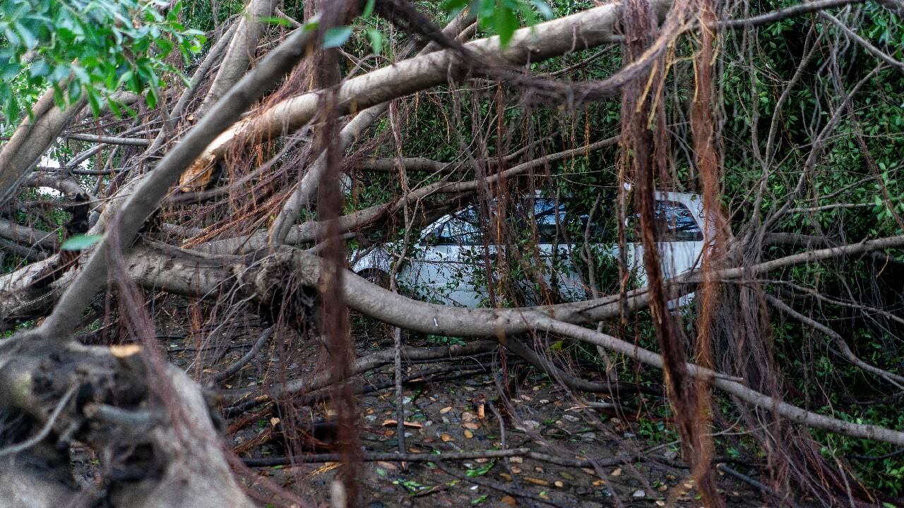 Secuelas de los fuertes vientos que dejó  el huracán Lidia en Puerto Vallarta, México, el 11 de octubre de 2023.