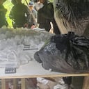 El hallazgo se dio en el noroccidente de la ciudad de Bucaramanga.