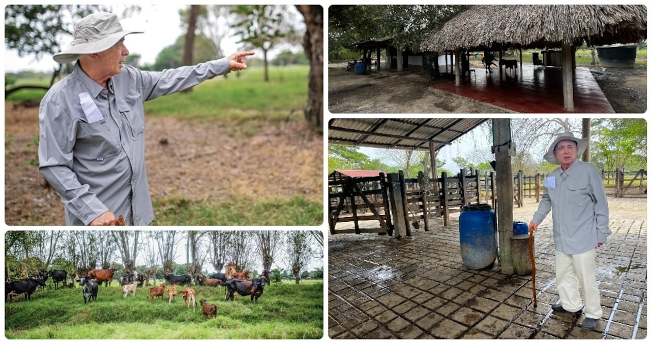 Álvaro Uribe acompañó a SEMANA en su recorrido por El Ubérrimo.