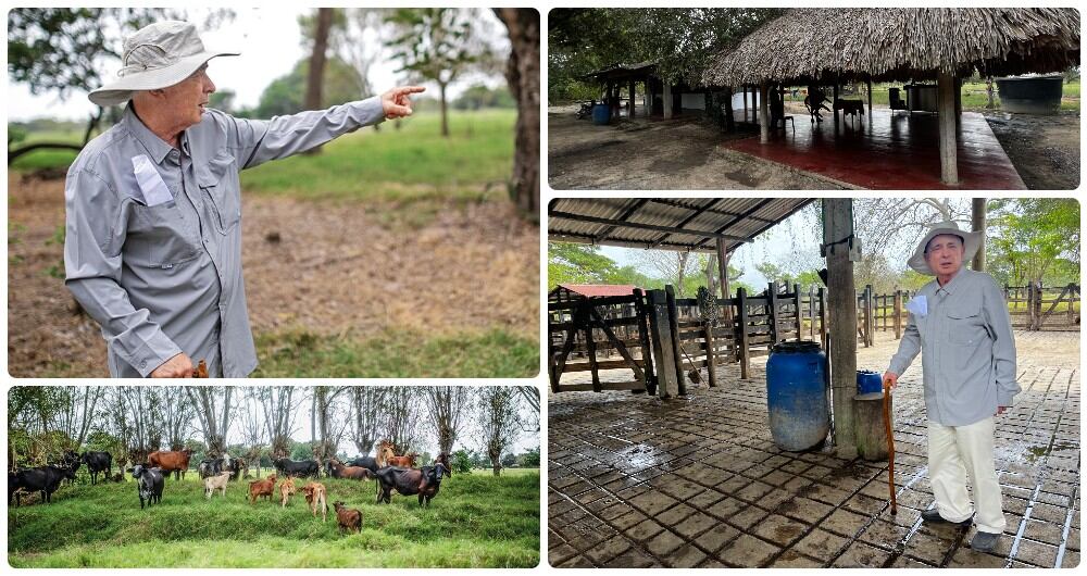 Álvaro Uribe acompañó a SEMANA en su recorrido por El Ubérrimo.
