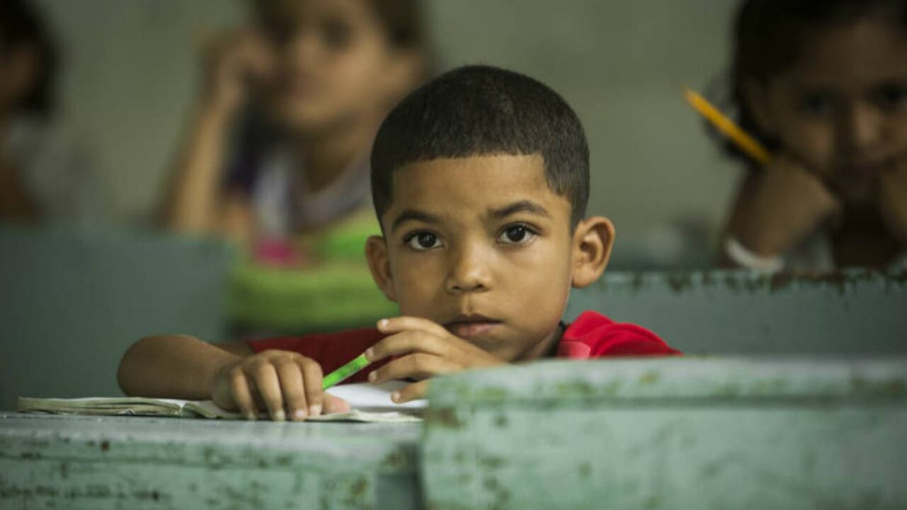 De los estudiantes que terminan la primaria en las zonas rurales dispersas, solo la mitad llega a noveno y la tercera parte llega a once, según el diagnóstico rural del Plan de Educación Especial Rural.