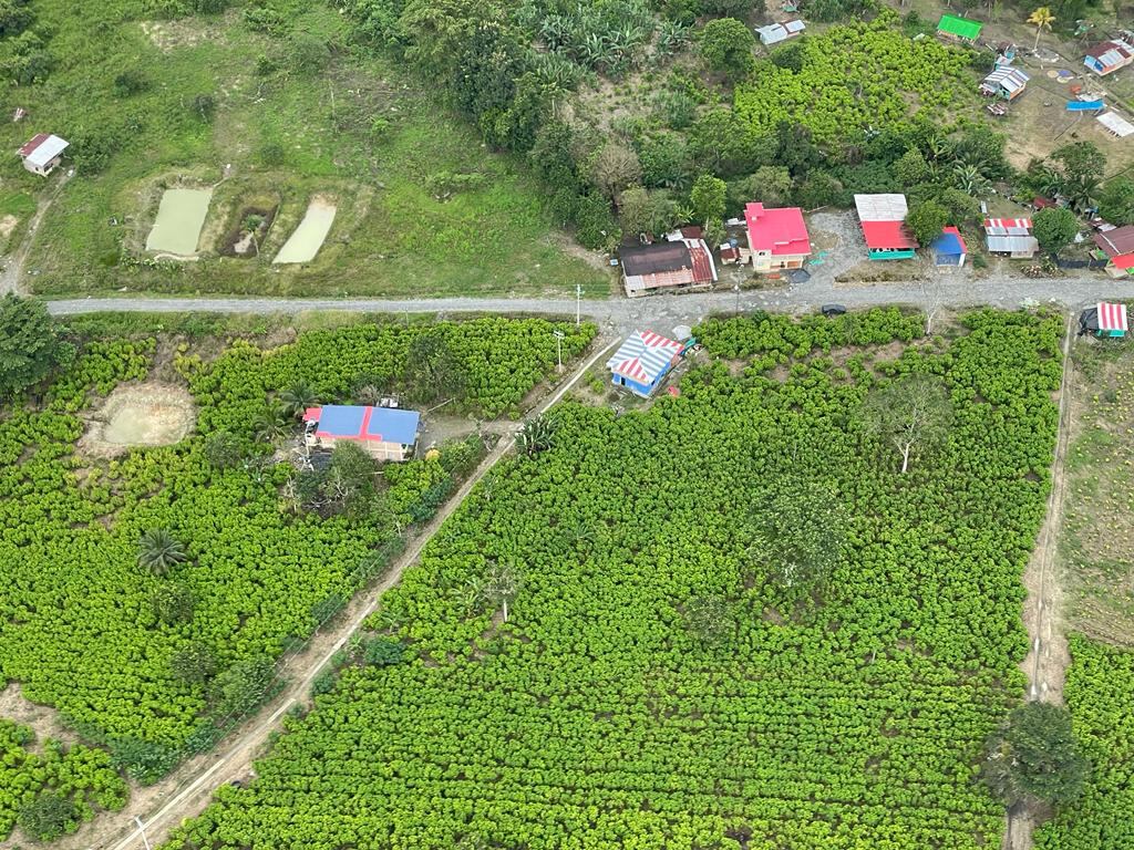 Así es la guerra silenciosa en el Pacífico caucano