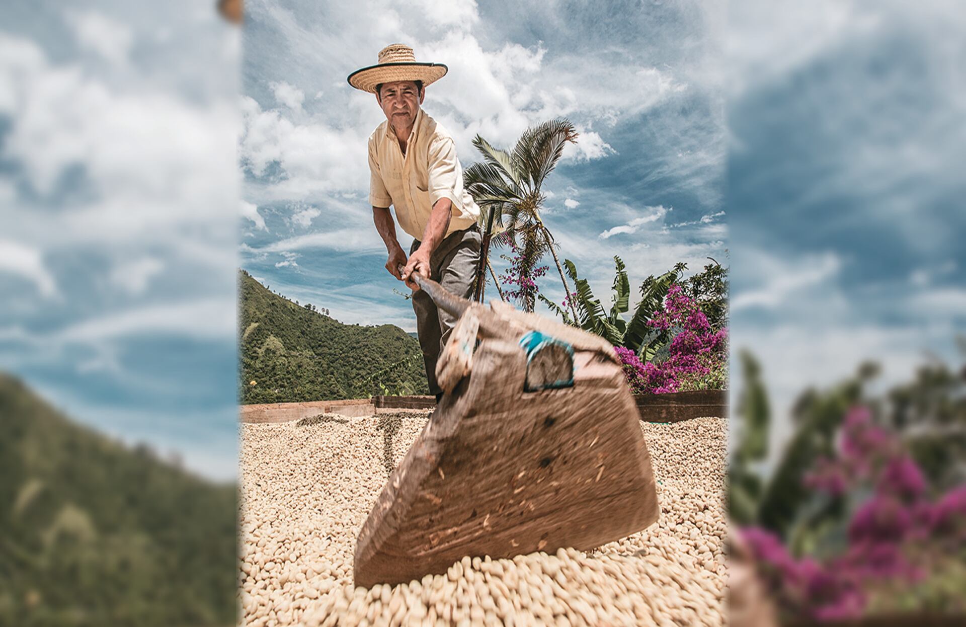 Especial empresas que Construyen país, MinComercio