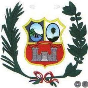 Detalles de la bandera de Altos de Paraguay
